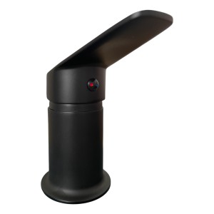 Bidet Sin Transferencia 35 Zinc Zanetti Negro Mate - L N F