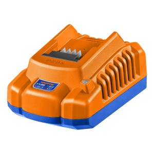 Cargador 20v P20s 2a Wadfow Wfcp502