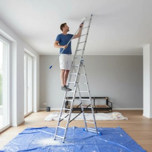 Escalera Extensible 3 Secc X 9 Escalones Wadfow Wld6539